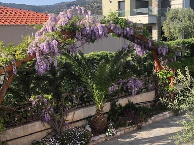Aegean Villas Potos Extérieur photo